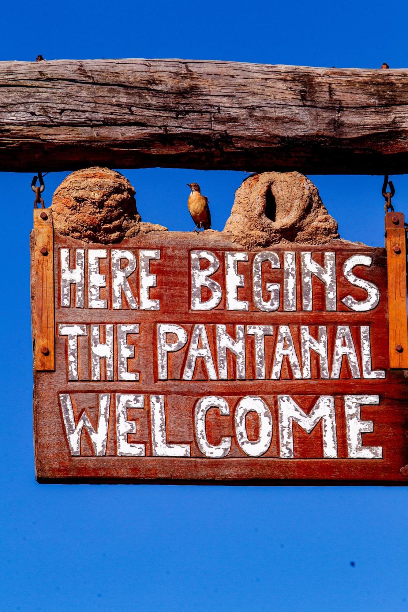 Hotel Pantanal Mato Grosso Pocone Exterior photo